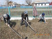 Субботник
